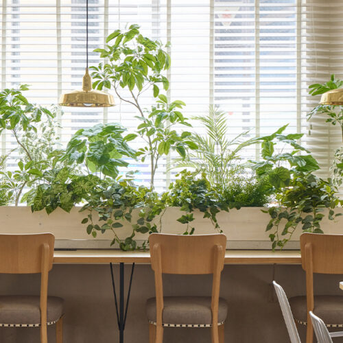 空間の個性を引き出す、業種別グリーンコーディネート
